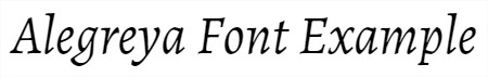 type-face-italic